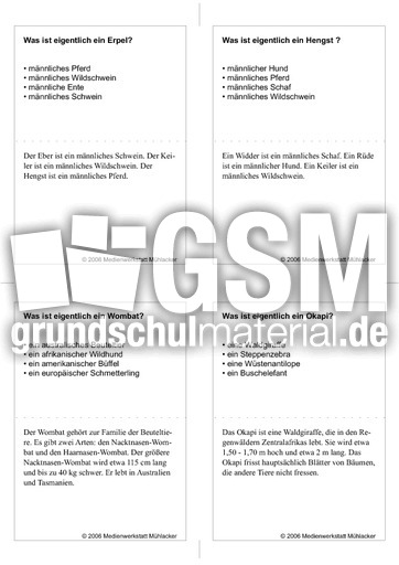 Quiz-Karten-Tiernamen 52.pdf